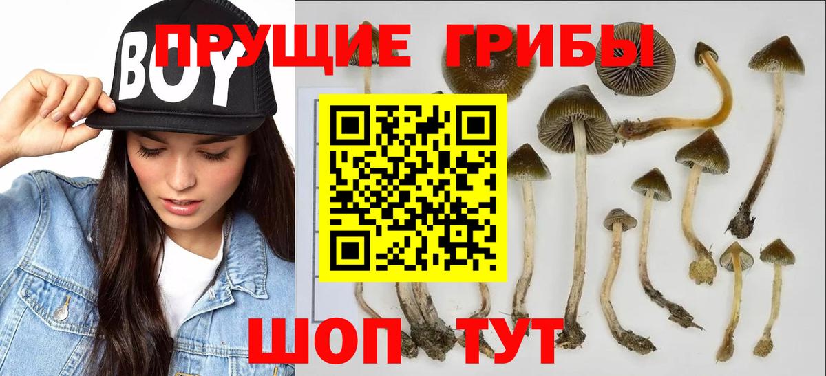 Галлюциногенные грибы MAGIC MUSHROOMS Строитель